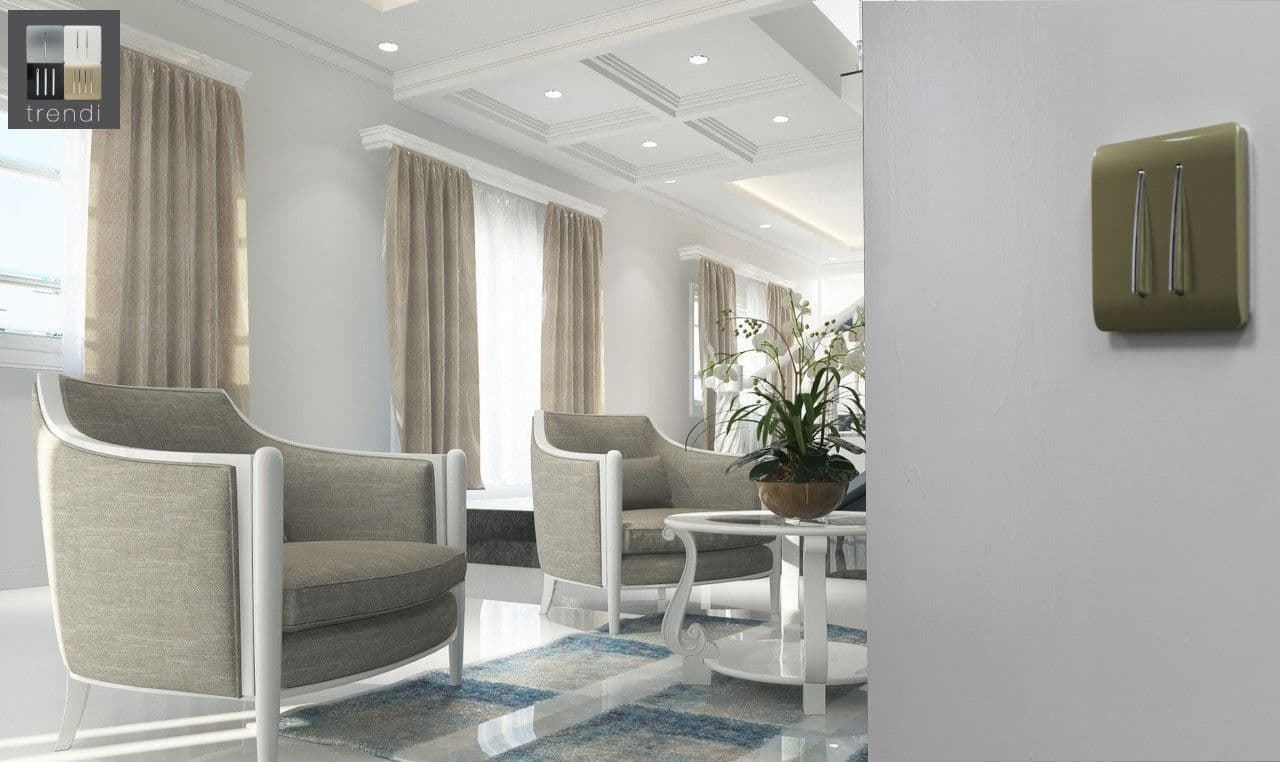 Trendi Switch 2 Gang Intermediate Rocker Light Switch in Champagne Gold