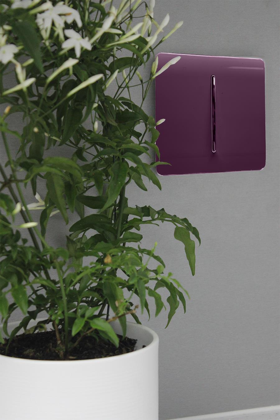 Trendi Switch 1 Gang Retractive Doorbell Switch in Plum Purple
