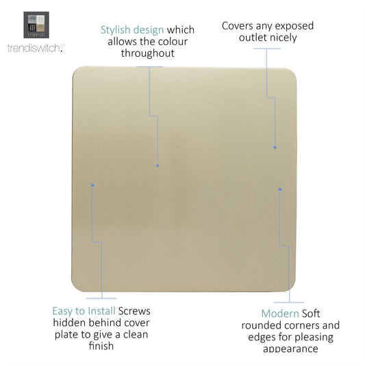 Trendi Switch Single Blanking Plate in Champagne Gold