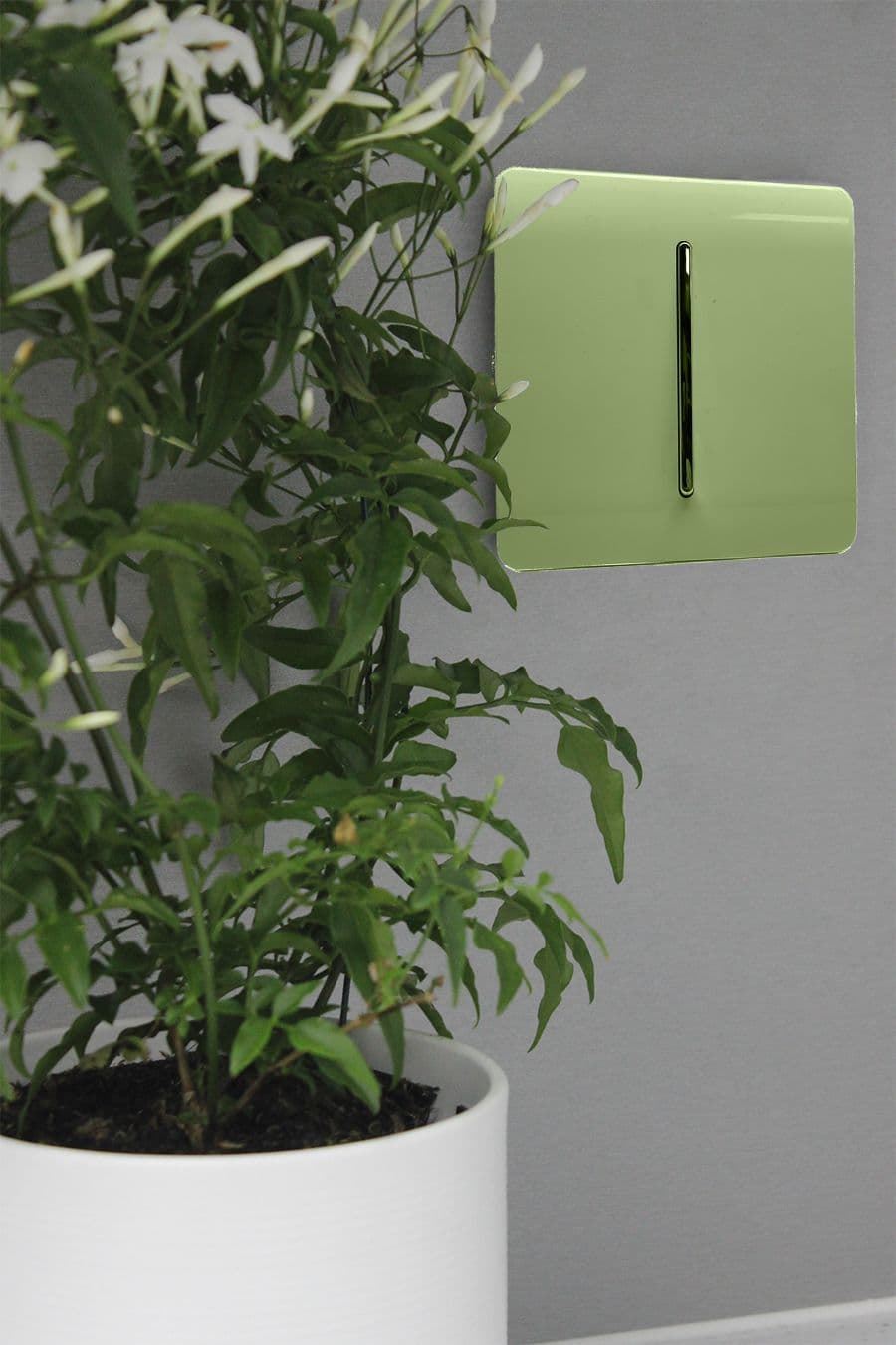 Trendi Switch 1 Gang Intermediate Rocker Light Switchin Moss Green