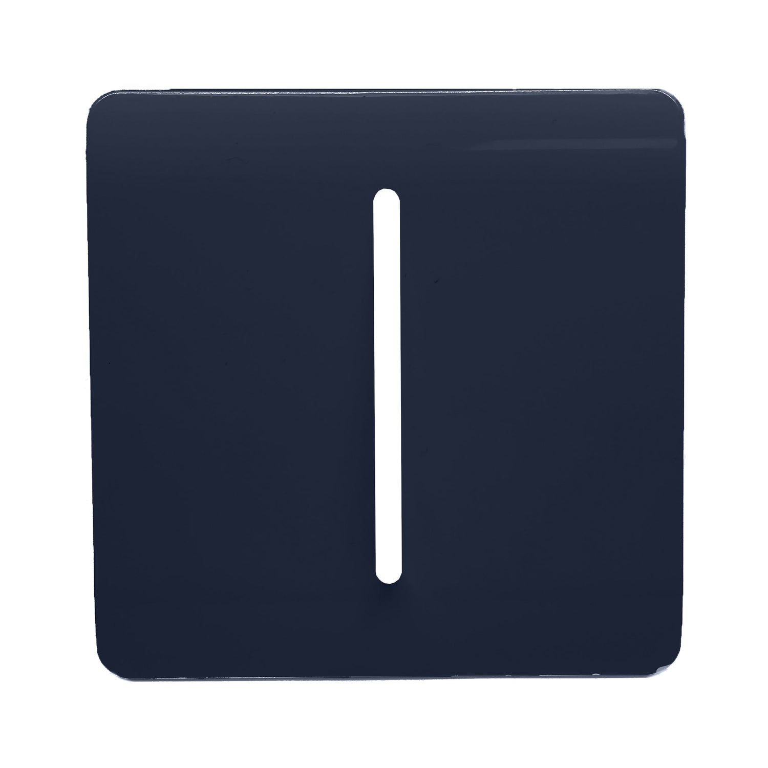 Navy Blue Plates