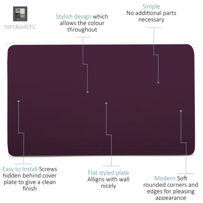 Trendi Switch Double Blanking Plate in Plum Purple