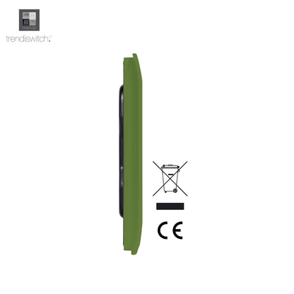 Trendi Switch Double Blanking Plate in Moss Green