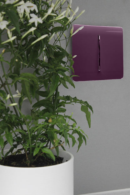 Trendi Switch 1 Gang Retractive Doorbell Switch in Plum Purple