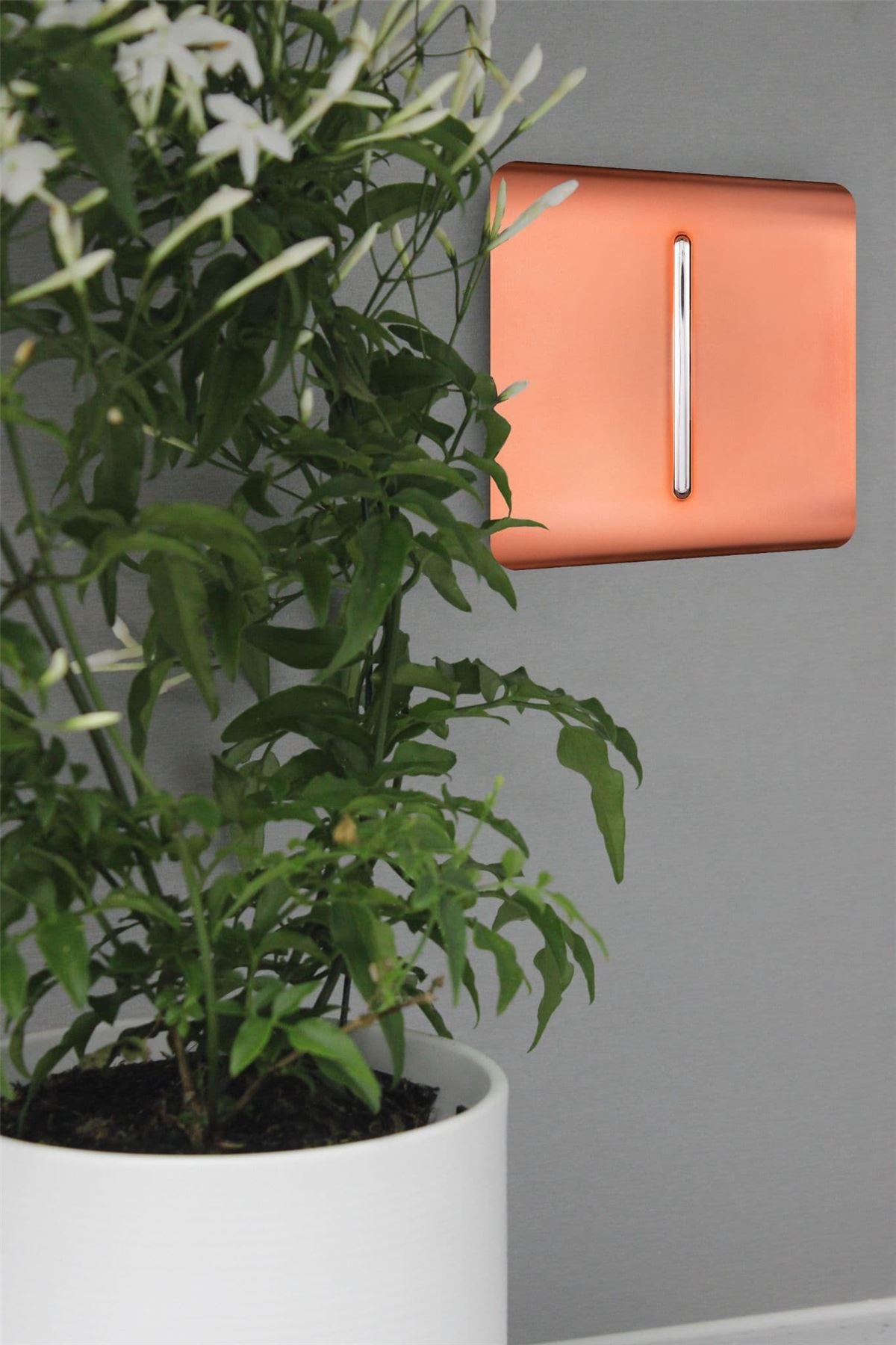 Trendi Switch 1 Gang Intermediate Rocker Light Switchin Copper