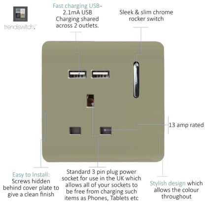 Trendi Switch 1 Gang USB 2100mA Plug Socket in Champagne Gold