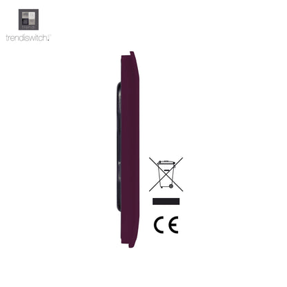 Trendi Switch Double Blanking Plate in Plum Purple
