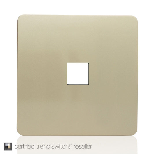 Trendi SPARE FACEPLATE For Artistic Modern Telephone Socket Gold ART-TLPGO-SP