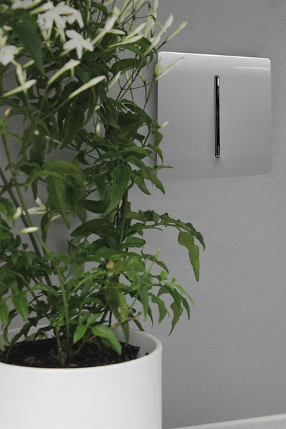 Trendi Switch 1 Gang Intermediate Rocker Light Switch in Light Grey