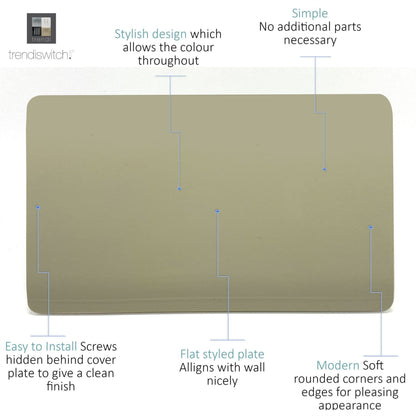Trendi Switch Double Blanking Plate in Champagne Gold