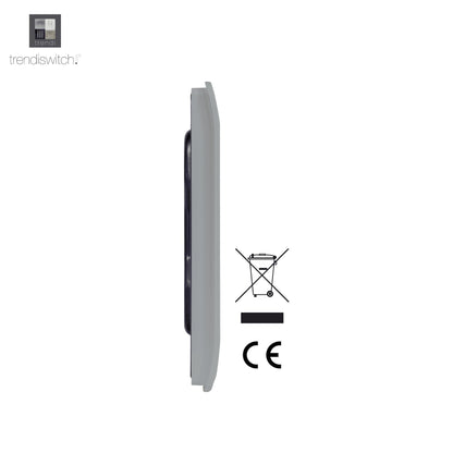 Trendi Switch Double Blanking Plate in Platinum Silver